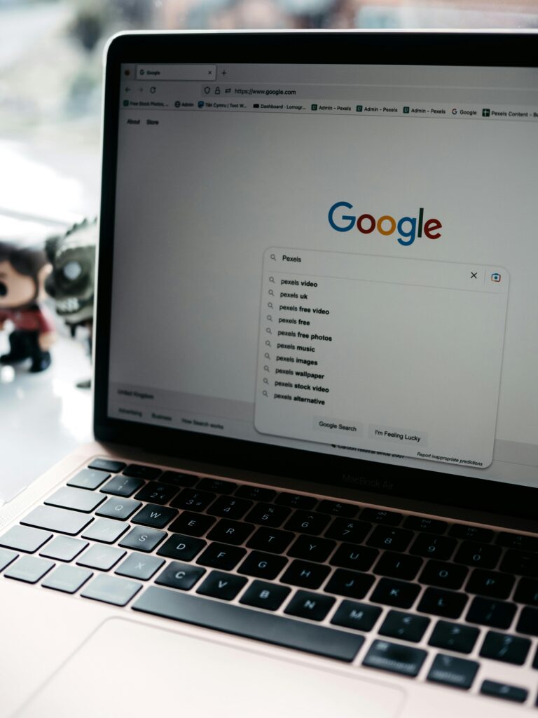 consultant seo au pays basque sur google le moteu de recherche